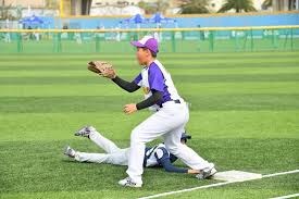 电子棋牌游戏平台推荐与对比